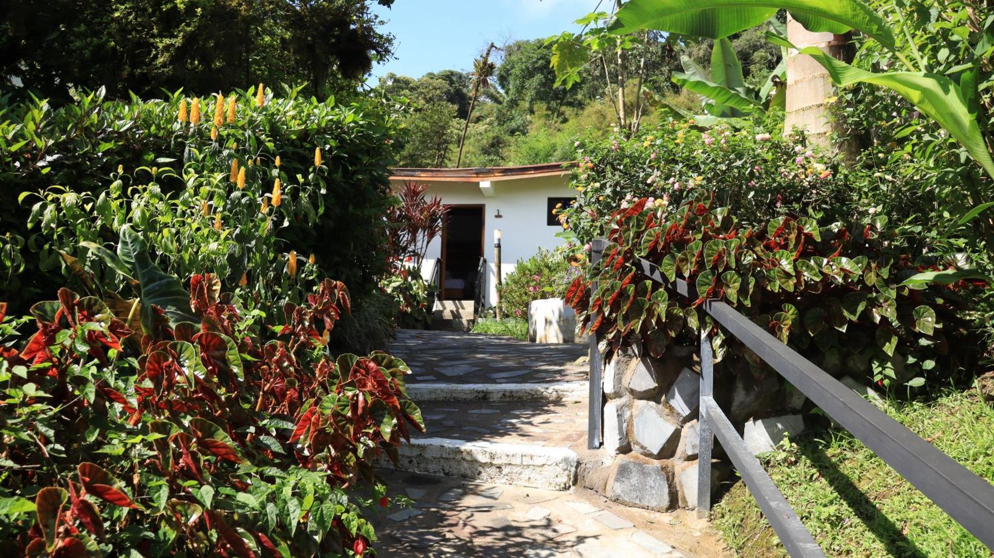 Las Terrazas de Dana Boutique Lodge&Spa Mindo Exterior foto