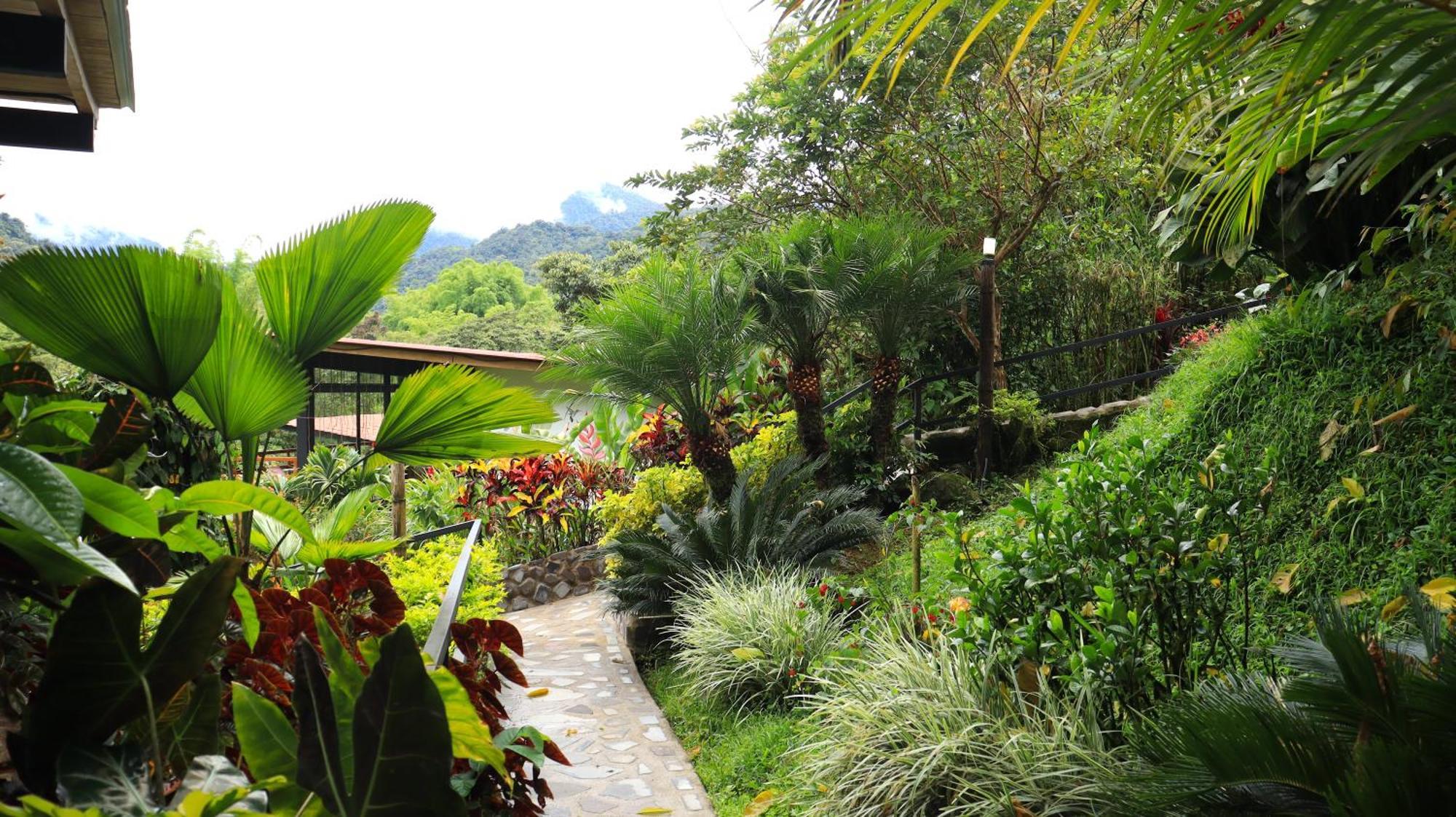 Las Terrazas de Dana Boutique Lodge&Spa Mindo Exterior foto
