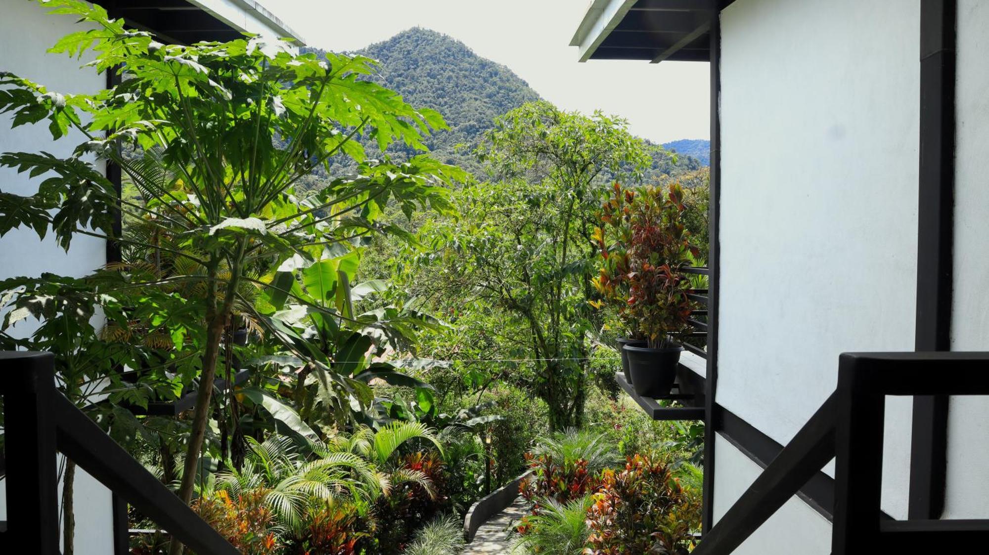 Las Terrazas de Dana Boutique Lodge&Spa Mindo Exterior foto