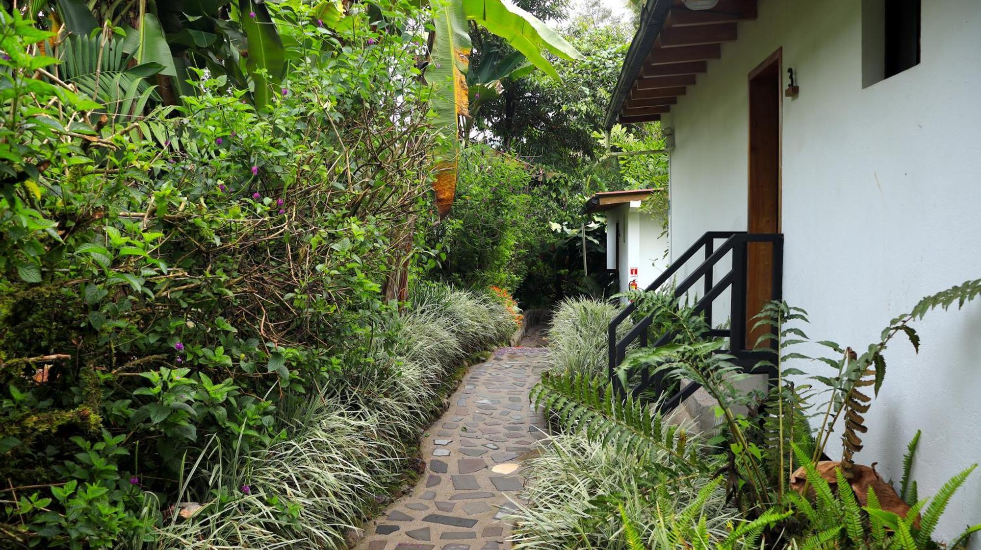 Las Terrazas de Dana Boutique Lodge&Spa Mindo Exterior foto