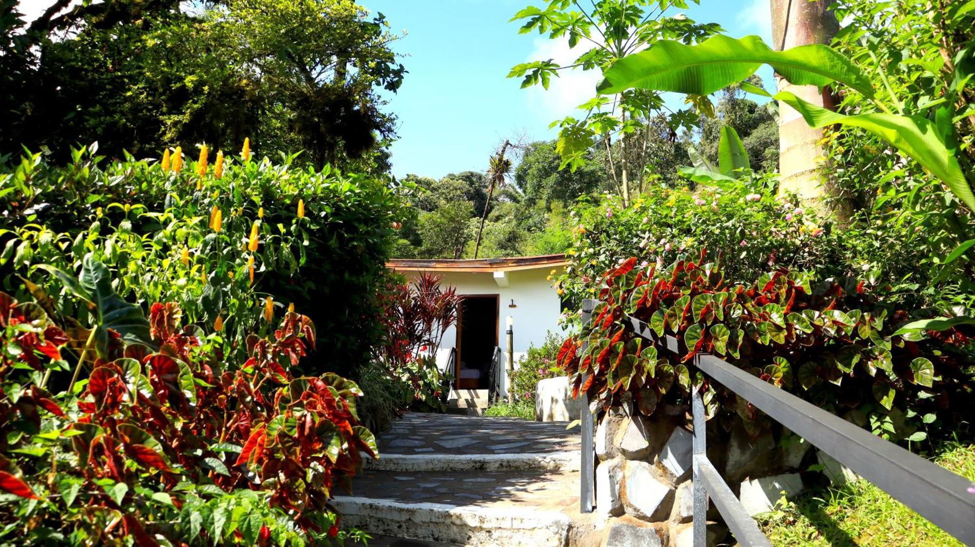 Las Terrazas de Dana Boutique Lodge&Spa Mindo Exterior foto