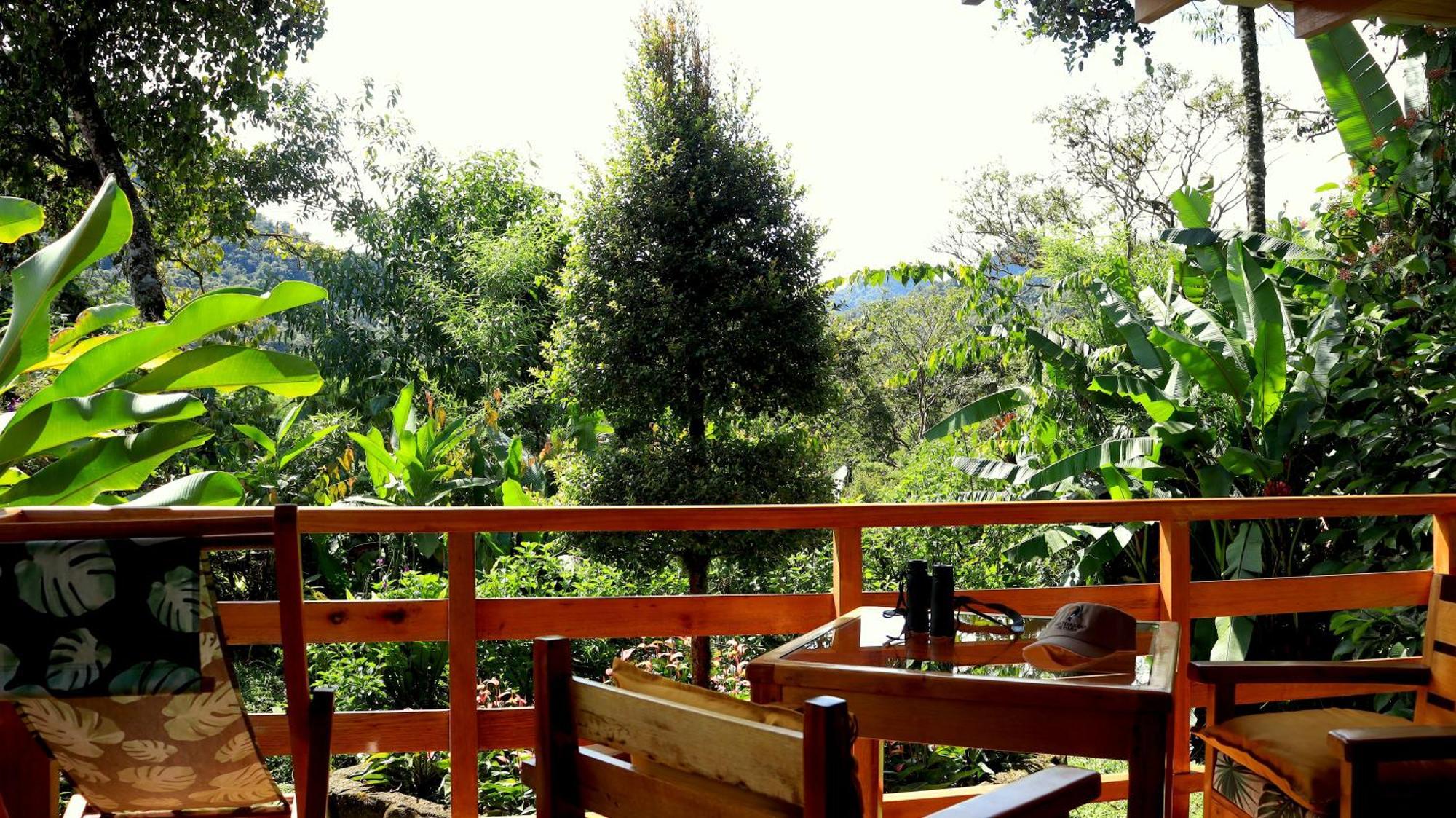 Las Terrazas de Dana Boutique Lodge&Spa Mindo Exterior foto